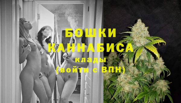 гашик Горно-Алтайск
