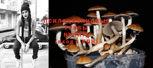 гашик Горно-Алтайск