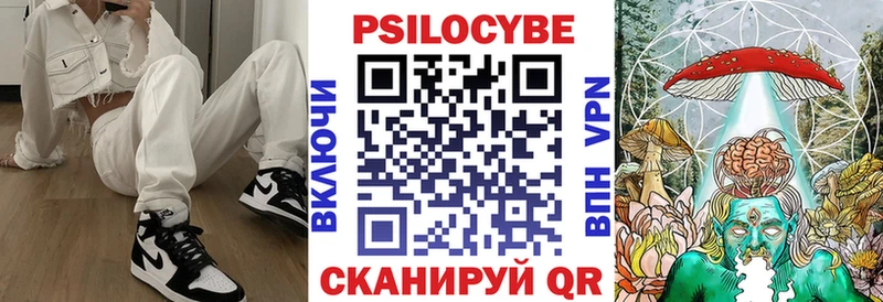 площадка какой сайт  где купить наркотик  Минеральные Воды  Псилоцибиновые грибы GOLDEN TEACHER 