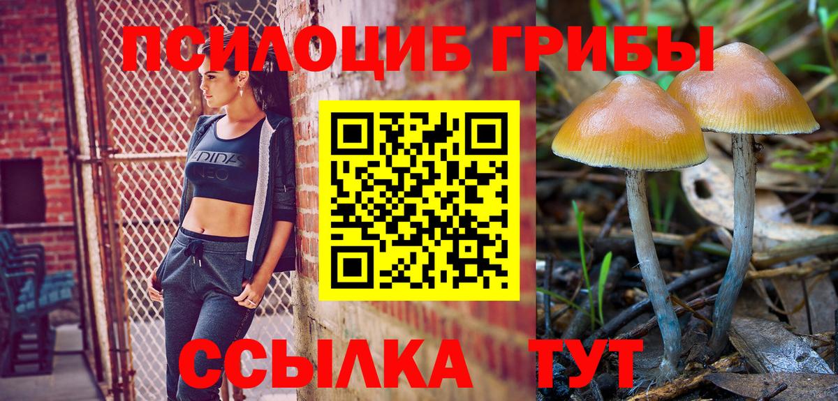 Минеральные Воды  Галлюциногенные грибы Psilocybe  Вход с VPN 