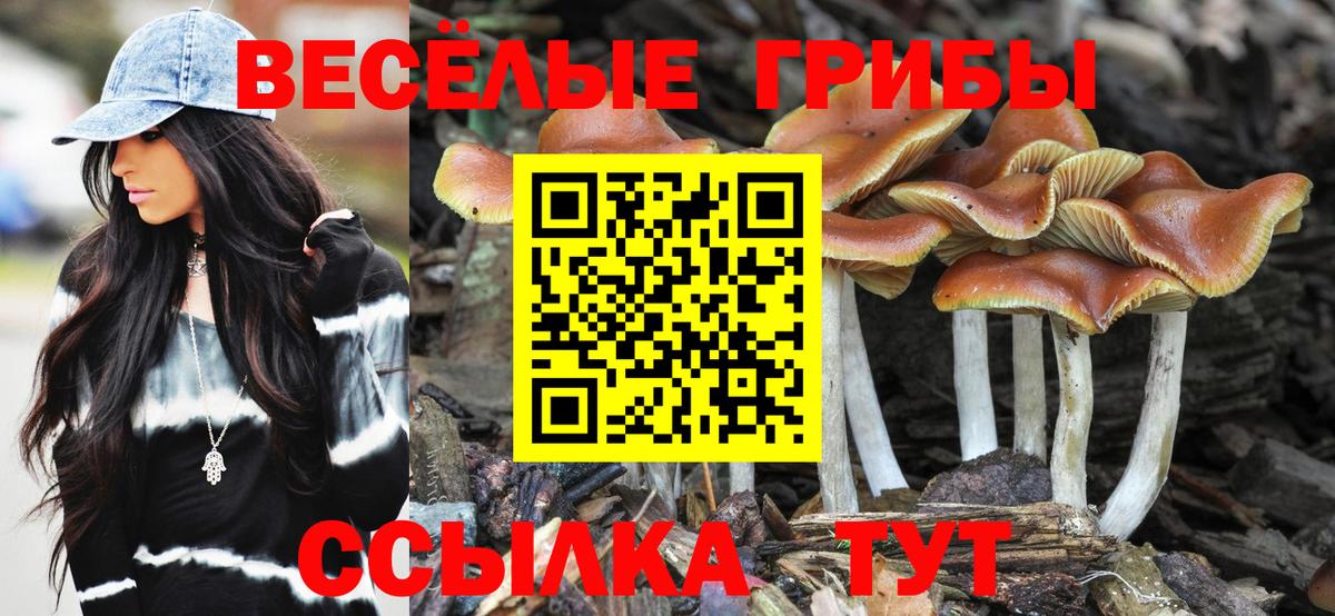 Псилоцибиновые грибы MAGIC MUSHROOMS  Минеральные Воды  Псилоцибиновые грибы MAGIC MUSHROOMS 