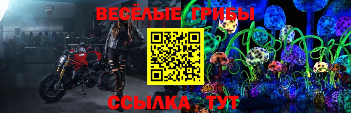 Галлюциногенные грибы GOLDEN TEACHER Минеральные Воды